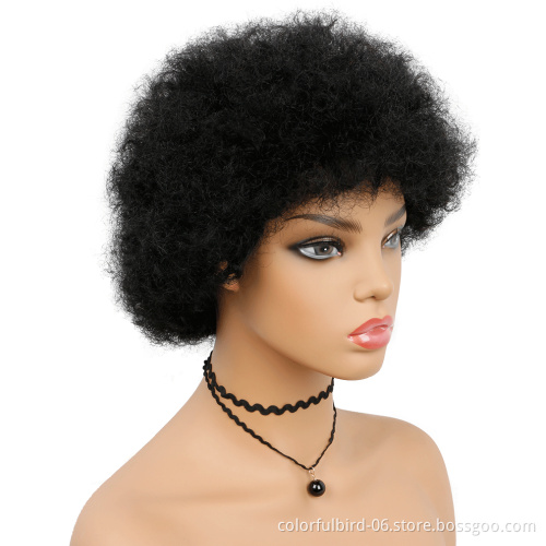 Top quality Brazilian glueless kinky afro short curly  Afro wig human hair wigs